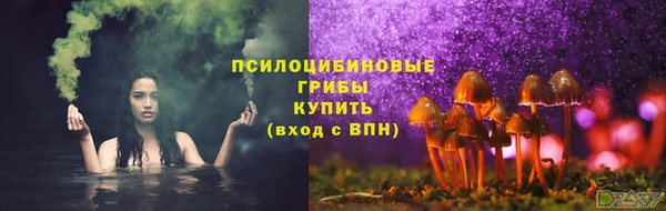 spice Абинск