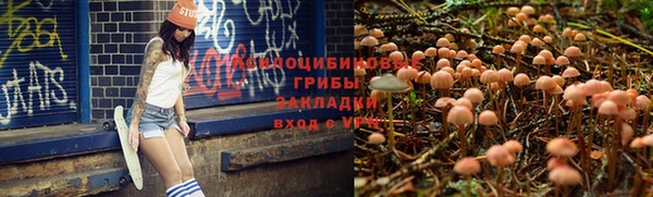 spice Абинск
