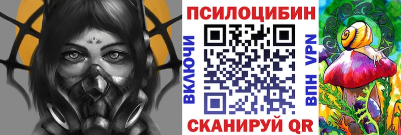 ОМГ ОМГ ССЫЛКА  цена   Яхрома  Галлюциногенные грибы GOLDEN TEACHER 